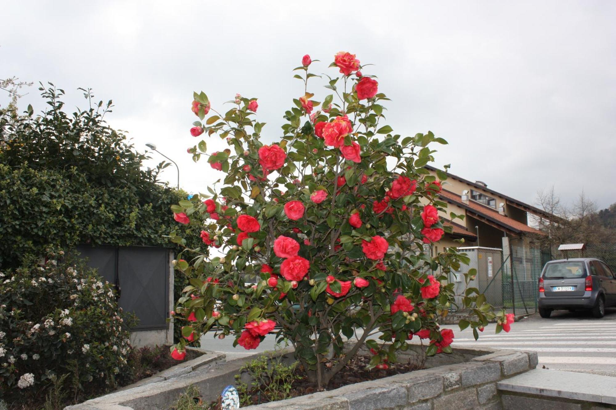 Cantalupa Hotel Tre Denti מראה חיצוני תמונה